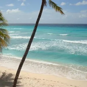  Apartment White Sands Beach Villas - D